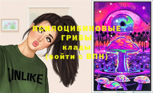 PSILOCYBIN Верея