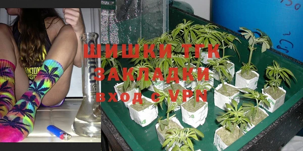PSILOCYBIN Верея