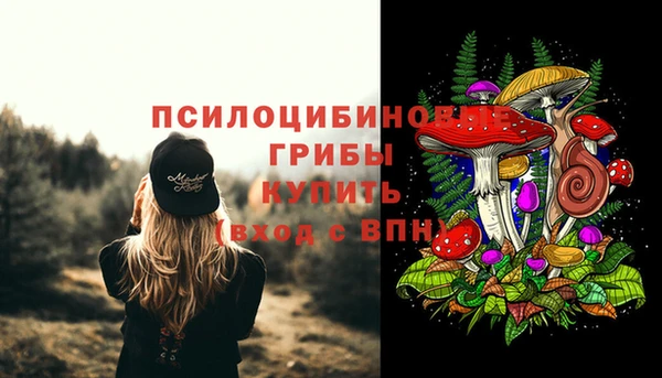 PSILOCYBIN Верея