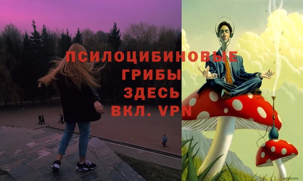 первитин Верхний Тагил