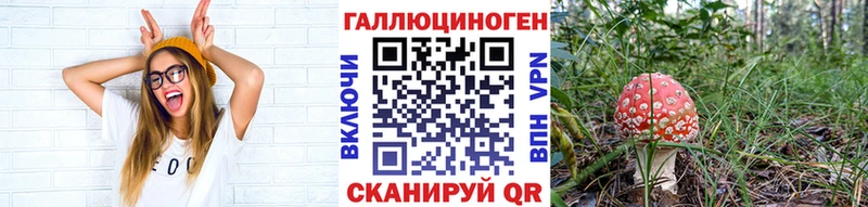 Галлюциногенные грибы GOLDEN TEACHER Мончегорск